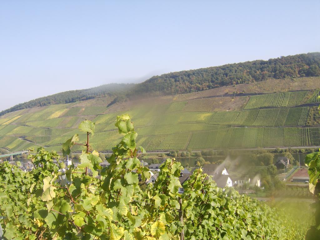 Appartement Weingut Matthias Dauns à Reil Extérieur photo