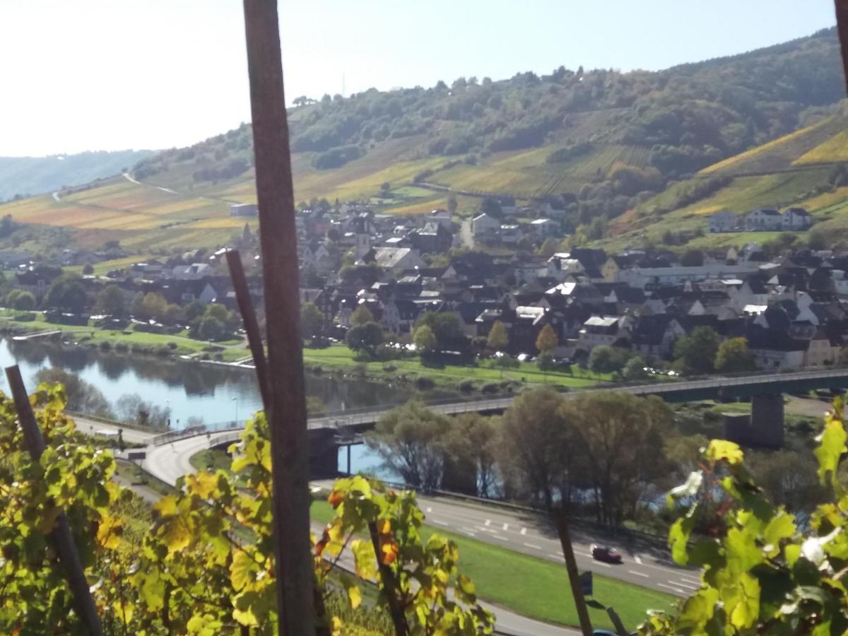 Appartement Weingut Matthias Dauns à Reil Extérieur photo